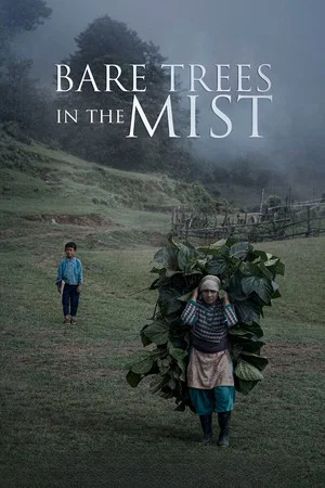 Постер: Bare Trees in the Mist