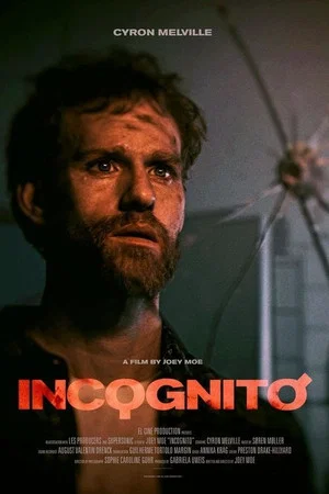 Постер: Incognito