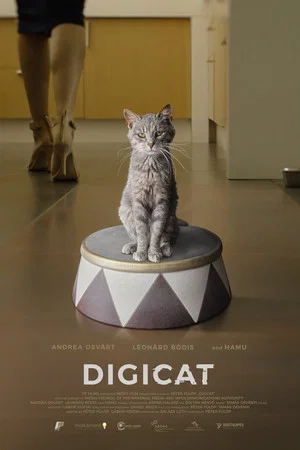 Постер: Digicica