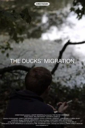 Постер: The Ducks' Migration