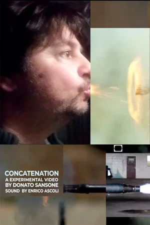 Постер: Concatenation
