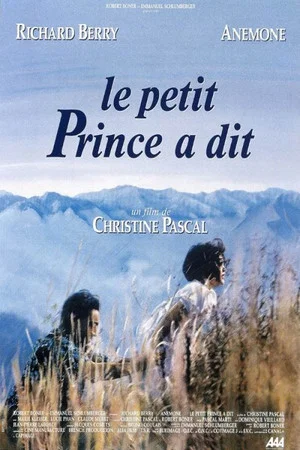 Постер: And the Little Prince Said