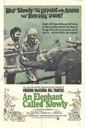 Постер: An Elephant Called Slowly