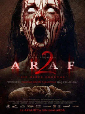 Постер: Araf 2
