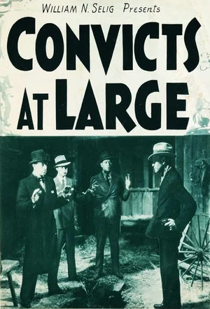 Постер: Convicts at Large