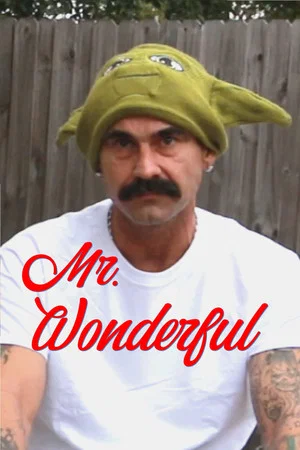Постер: Mr. Wonderful