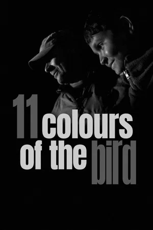 Постер: 11 Colours of the Bird