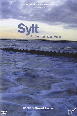Постер: Sylt à perte de vue