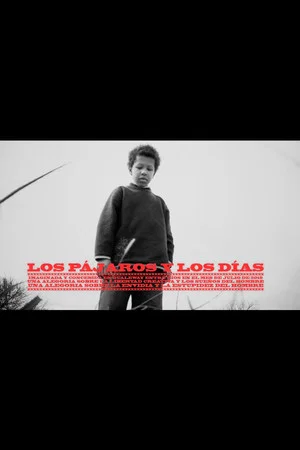 Постер: Los pájaros y los días