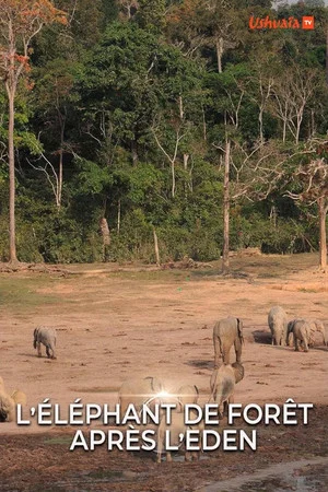 Постер: L' éléphant de forêt après l'éden