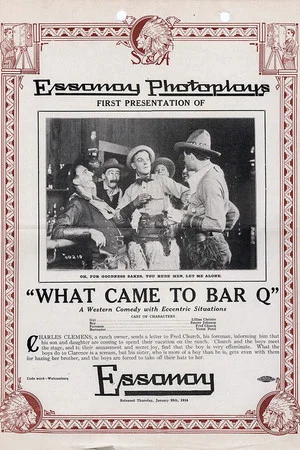 Постер: What Came to Bar Q