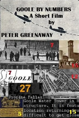 Постер: Goole by Numbers