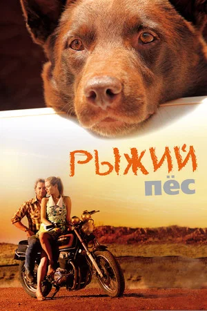 Постер: Рыжий пёс