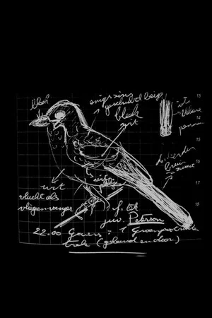 Постер: Een vogel met jouw naam