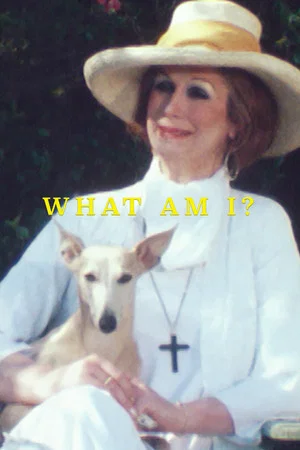 Постер: What Am I?