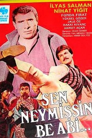 Постер: Sen Neymişsin Be Abi