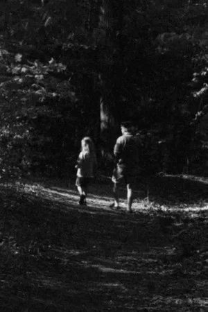 Постер: Forest Walk