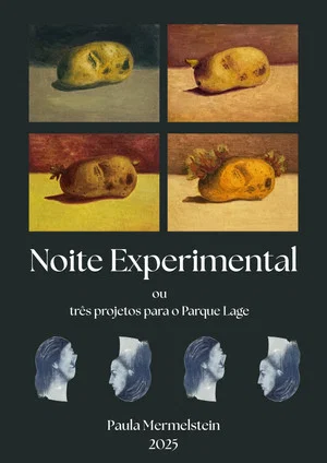 Постер: Noite Experimental