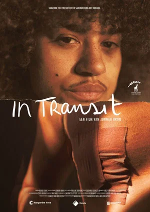 Постер: In Transit
