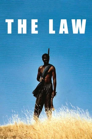 Постер: The Law
