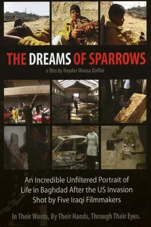 Постер: The Dreams of Sparrows