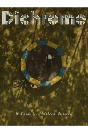 Постер: Dichrome