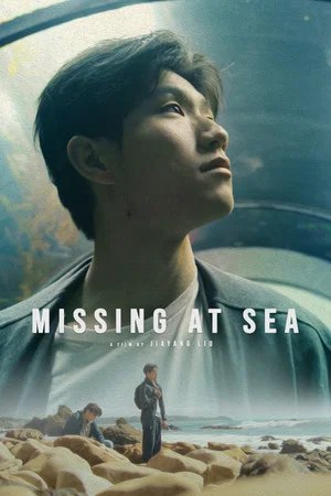 Постер: Missing at Sea