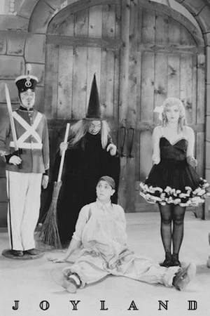 Постер: Joyland