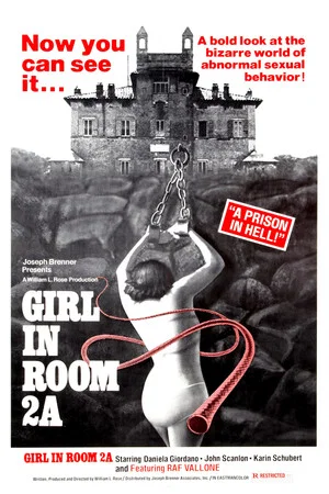 Постер: The Girl in Room 2A