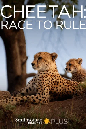 Постер: Cheetah: Race to Rule