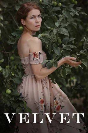 Постер: Velvet