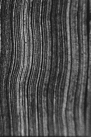 Постер: The Great Art of Knowing