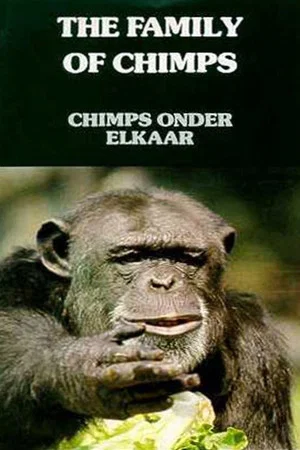Постер: The Family of Chimps