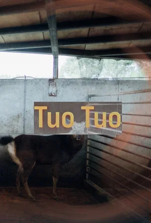 Постер: Tuo Tuo