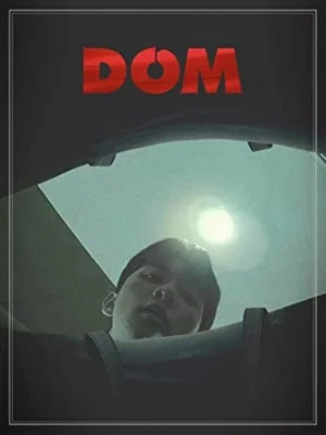 Постер: Dom