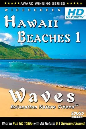 Постер: Hawaii Beaches 1 / Waves Relaxation Nature Videos