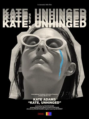 Постер: Kate, Unhinged