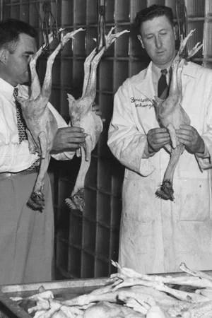 Постер: The Chicken of Tomorrow