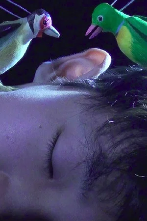 Постер: The Princess and the Magic Birds