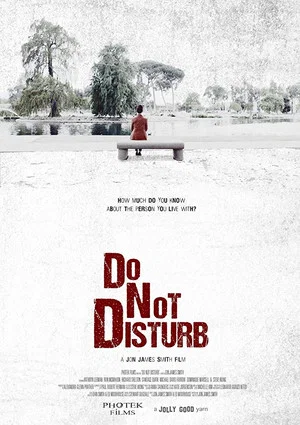 Постер: Do Not Disturb