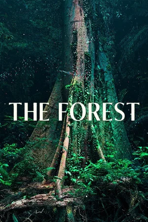Постер: The Forest