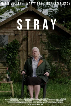 Постер: Stray
