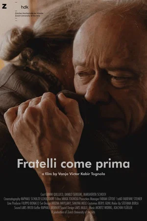 Постер: Brothers Again