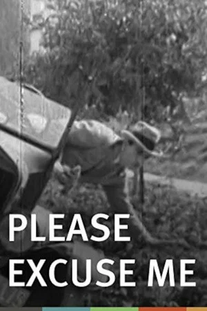 Постер: Please Excuse Me