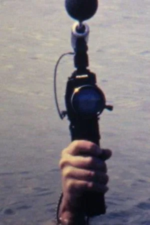 Постер: The Lake
