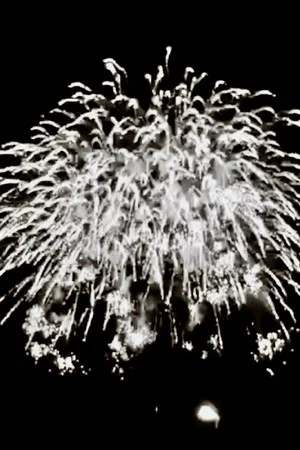 Постер: TOKYO FIREWORKS