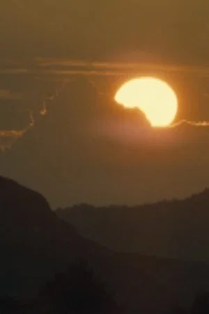 Постер: The Entire Sun Is Nowhere To Be Found