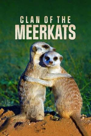 Постер: Clan of the Meerkat