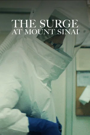 Постер: The Surge at Mount Sinai