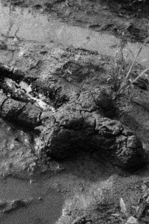 Постер: Birth (Gunpowder Works)